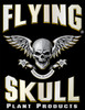 Flying Skull